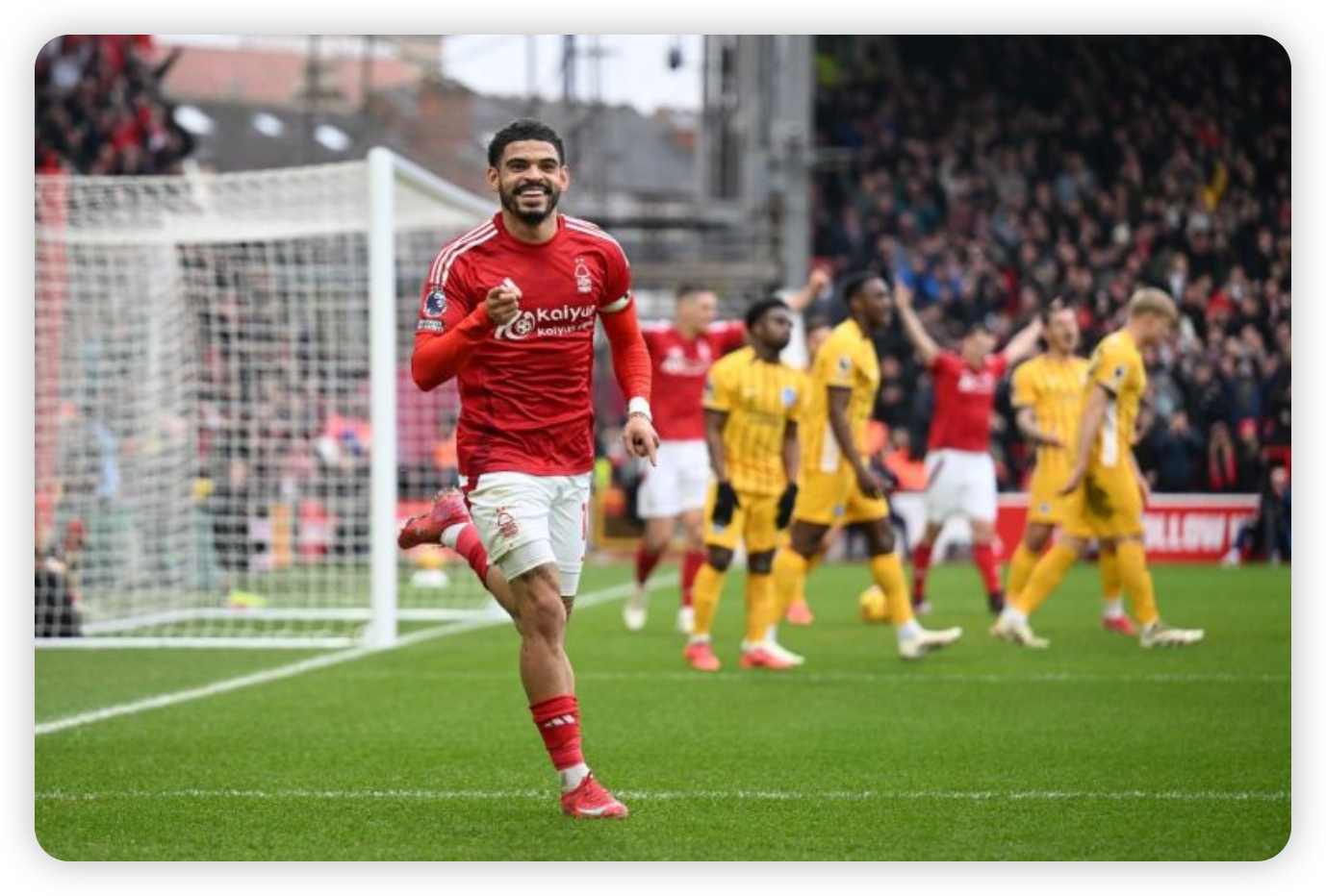 The Bigger Picture for Nottingham Forest